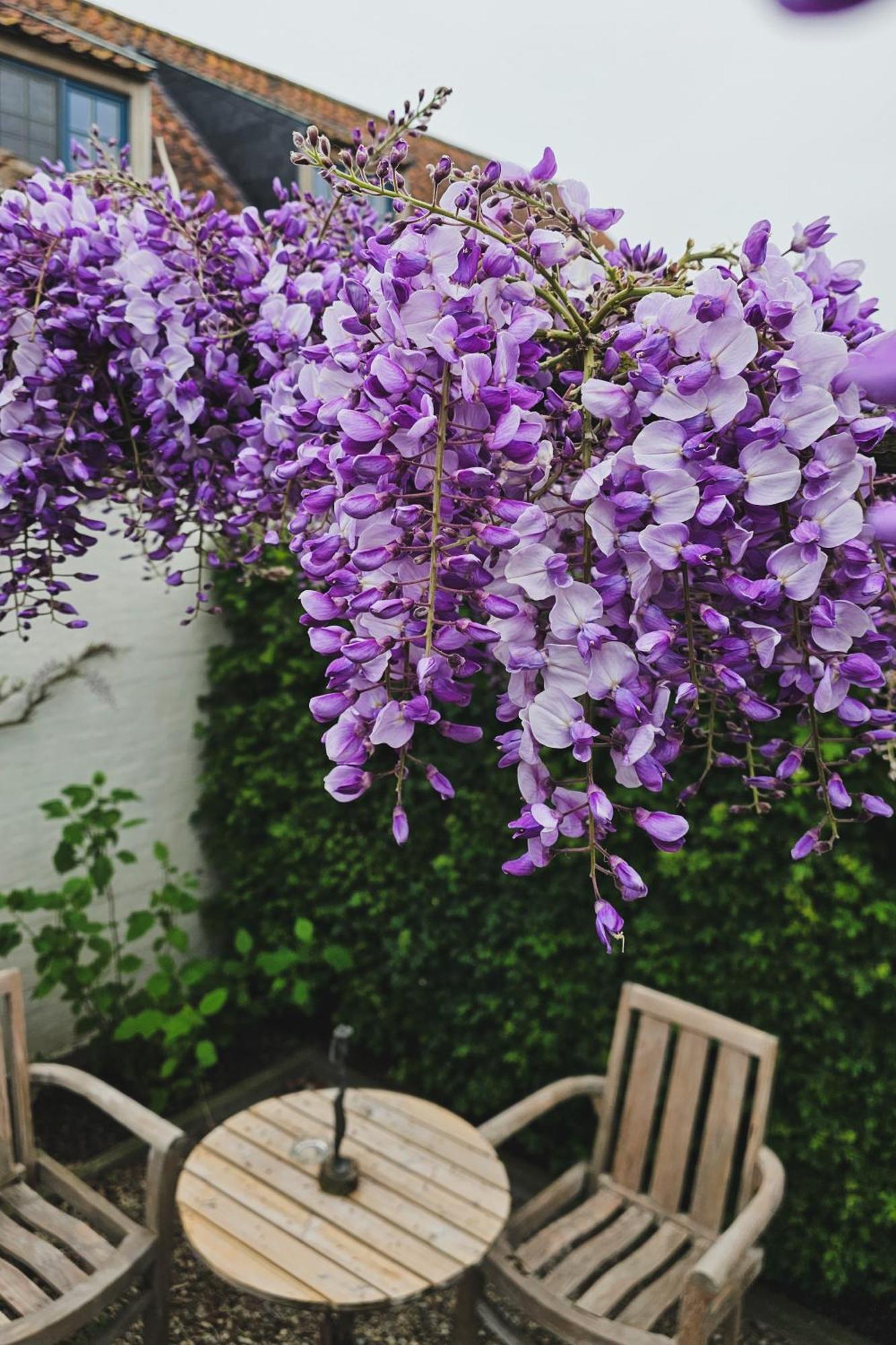 Boutique B&B Droomkerke Ruiselede 외부 사진